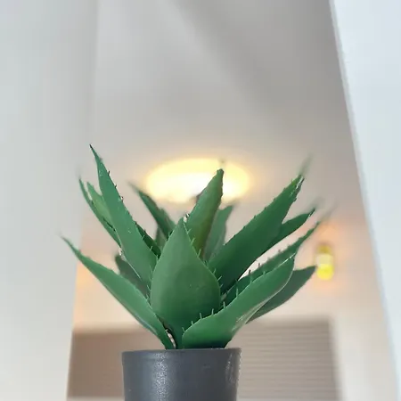 Tereza Apartment